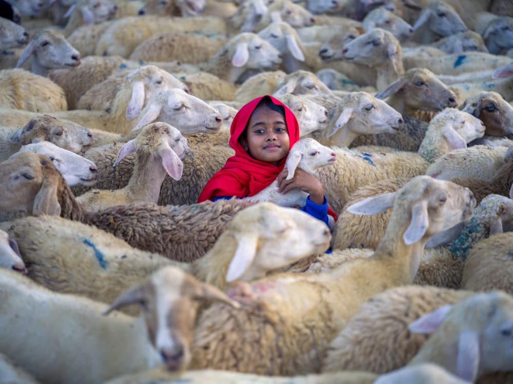 Young Girl With Her Lamb by woo jung choi — canvas wall art