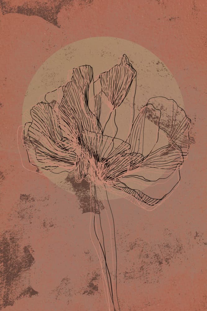 Sunset flower by Treechild — canvas wall art