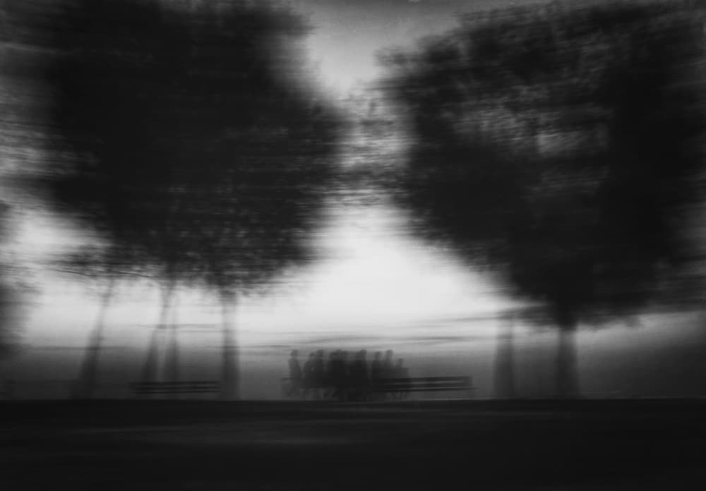 Dreamy Park Silhouettes by Ali Ayer — canvas wall art