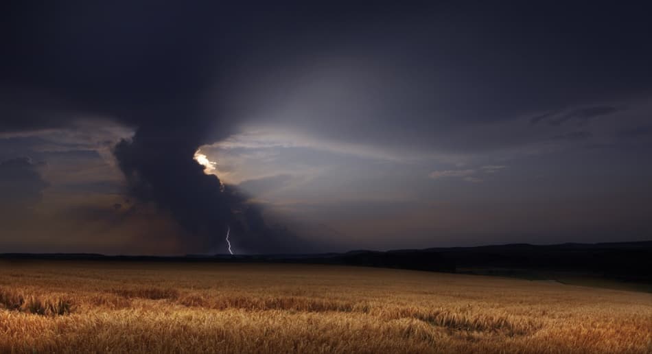 Storm Over Wheat Field by Nicolas Schumacher — canvas wall art
