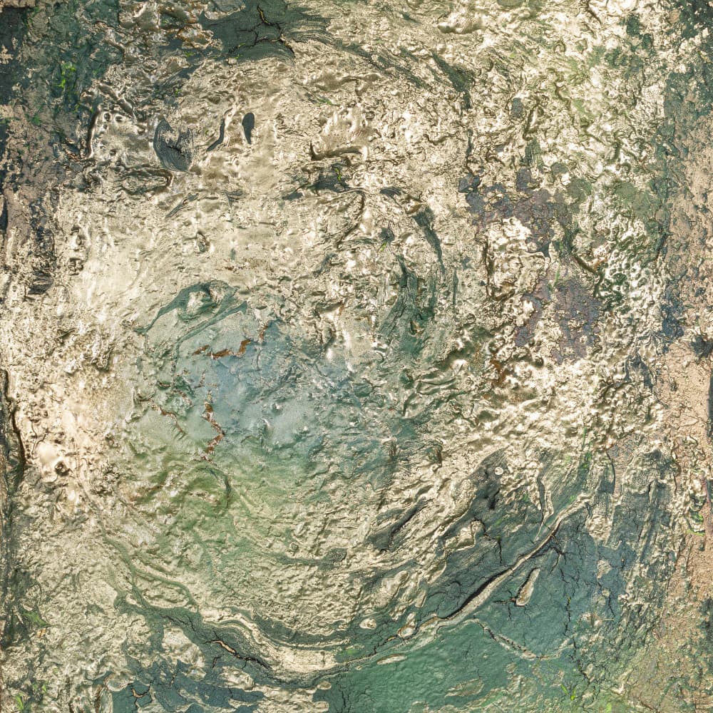 Golden Green Flow by Anete Purina-Purite — canvas wall art