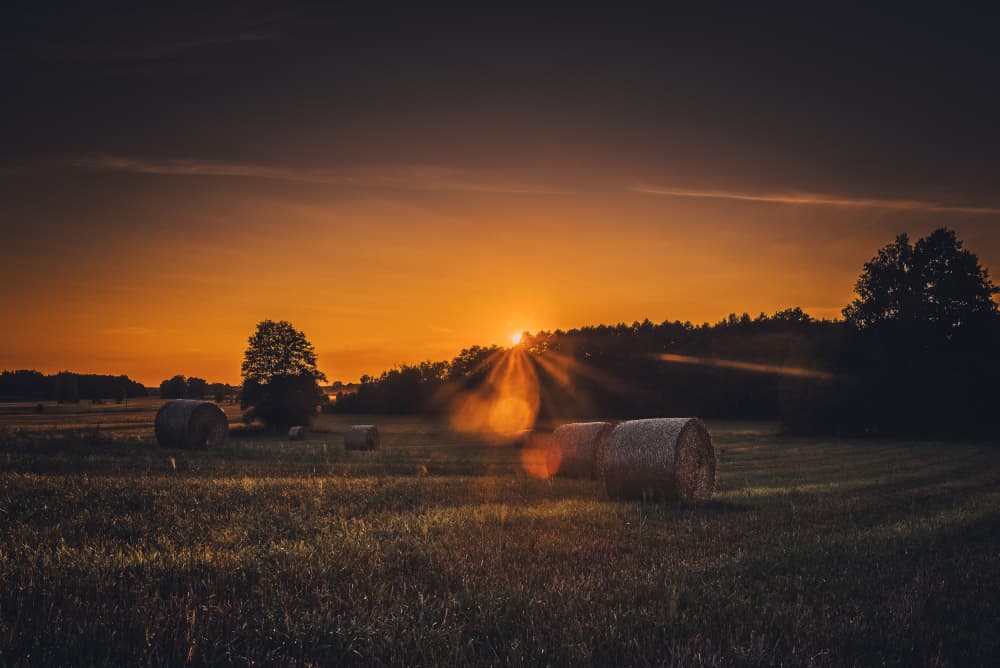 Golden Hour Hay Bales by Dariusz Budyta — canvas wall art