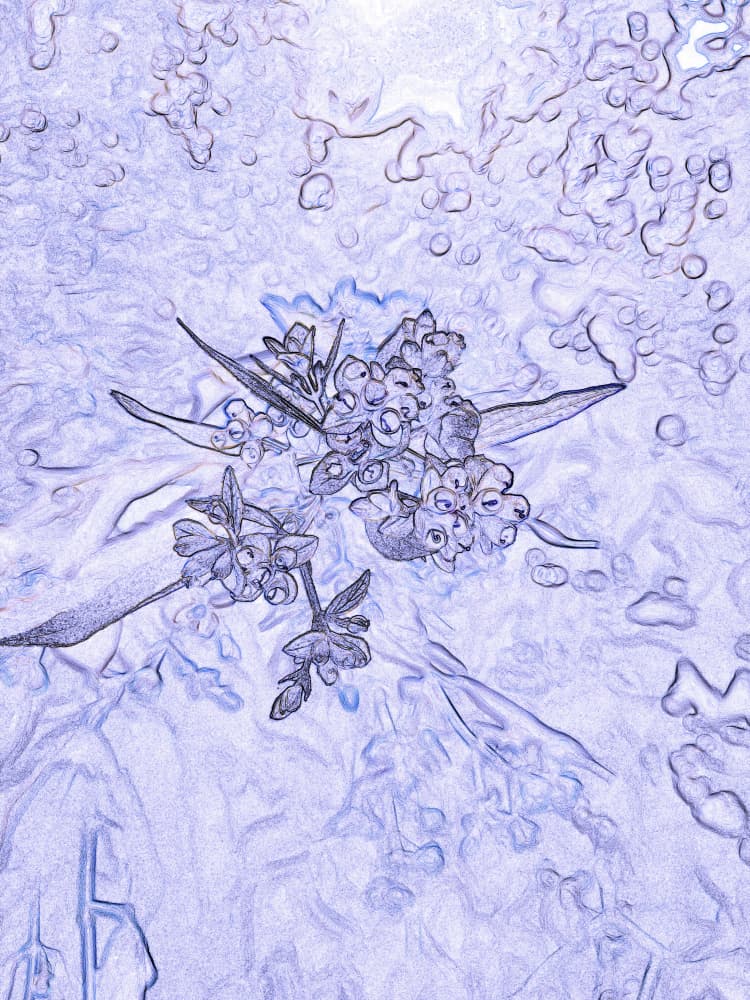 Dreamy Blue Floral Abstract by Santhosh ch — canvas wall art