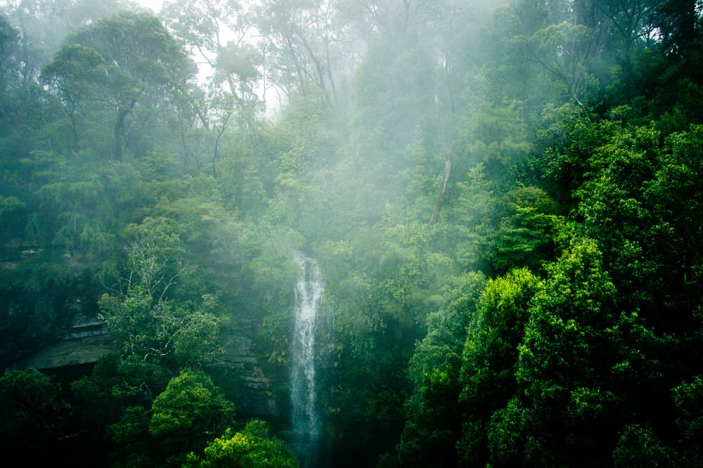Misty Forest Waterfall by Robert Steinkopff — canvas wall art