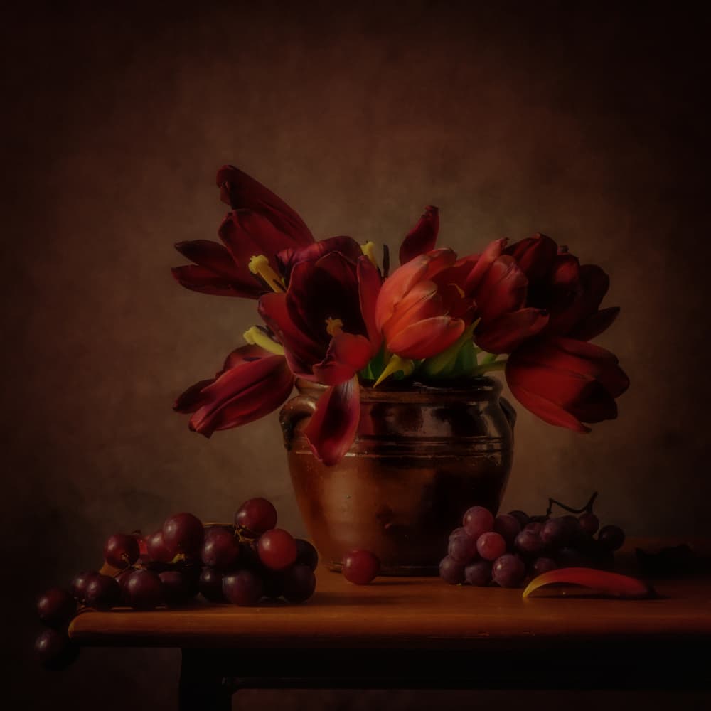 Moody Tulips and Grapes by Monique van Velzen — canvas wall art