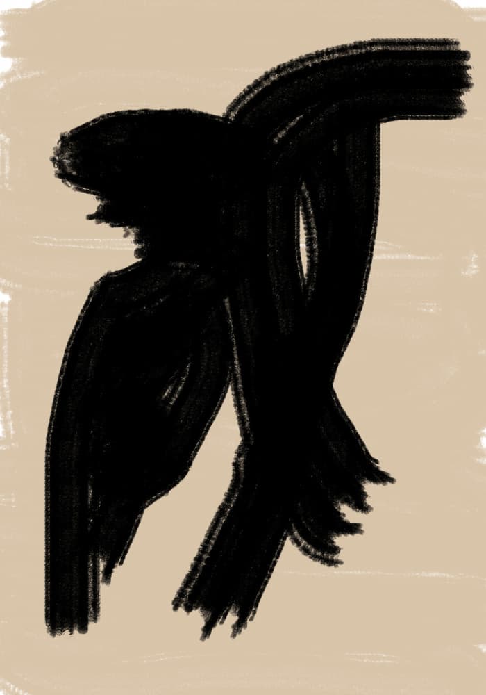 Shadowy Elegance by THE MIUUS STUDIO — canvas wall art