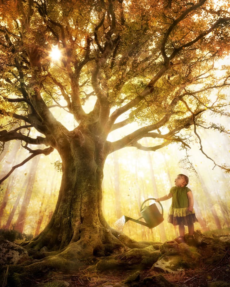Child Waters Golden Tree by Christophe Kiciak — canvas wall art