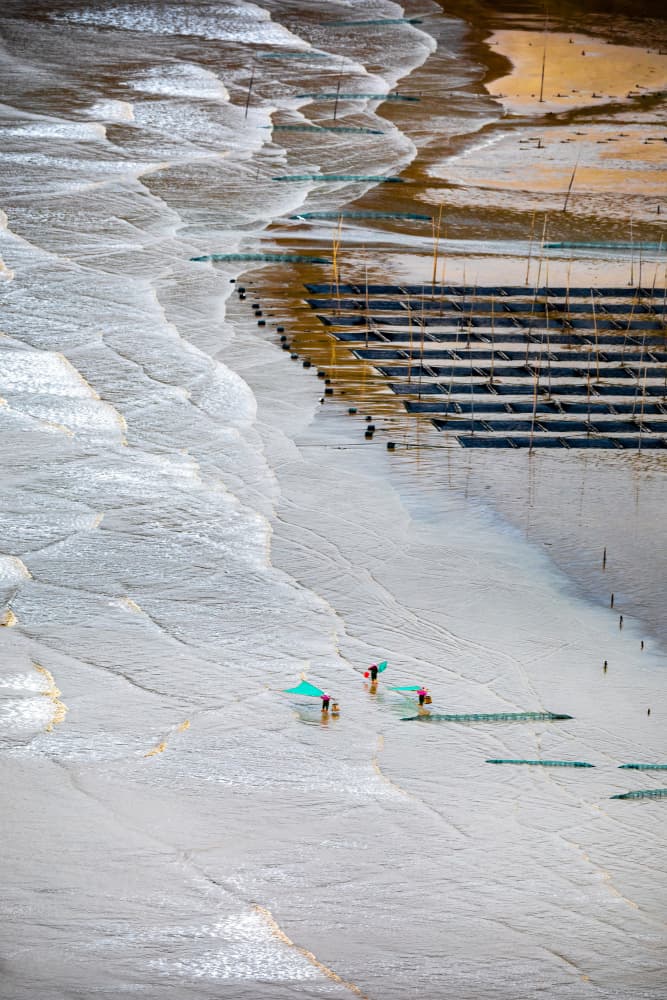 Mudflat Farm Workers by Li Ying — canvas wall art
