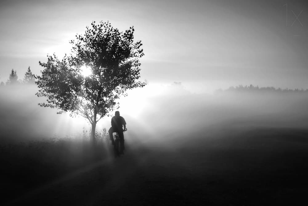 Misty Morning Cyclist by Roswitha Schleicher-Schwarz — canvas wall art