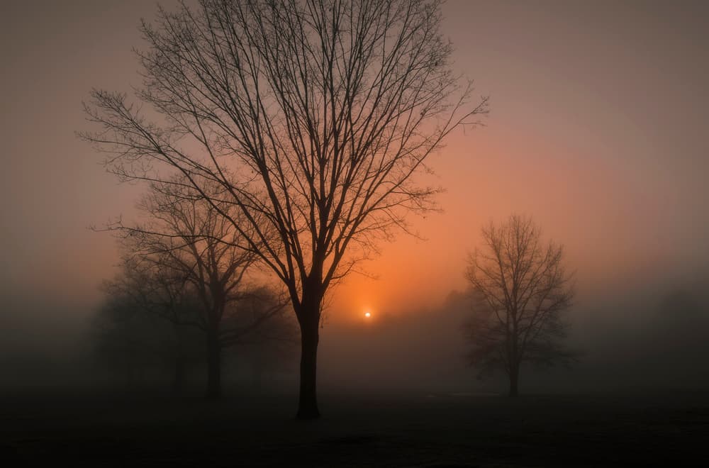 Misty Winter Sunrise by Wei (David) Dai — canvas wall art