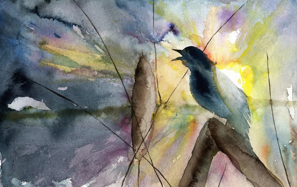 Singing Bird Sunrise by RodMacIver — canvas wall art
