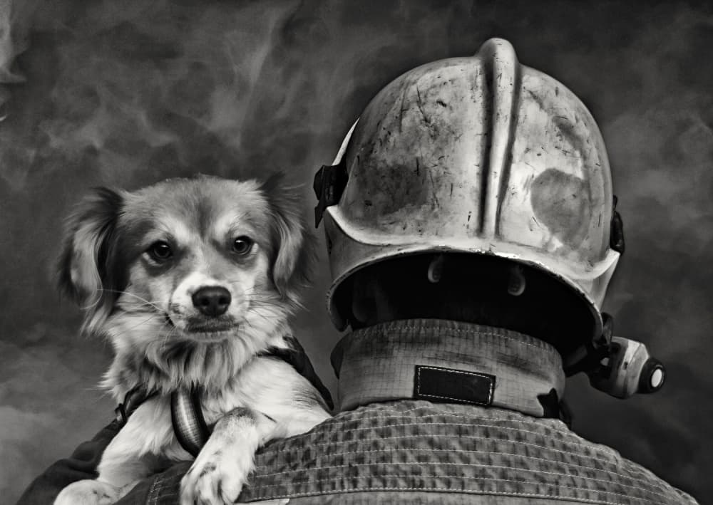 Hero Dog And Firefighter by Renato J. López Baldó — canvas wall art