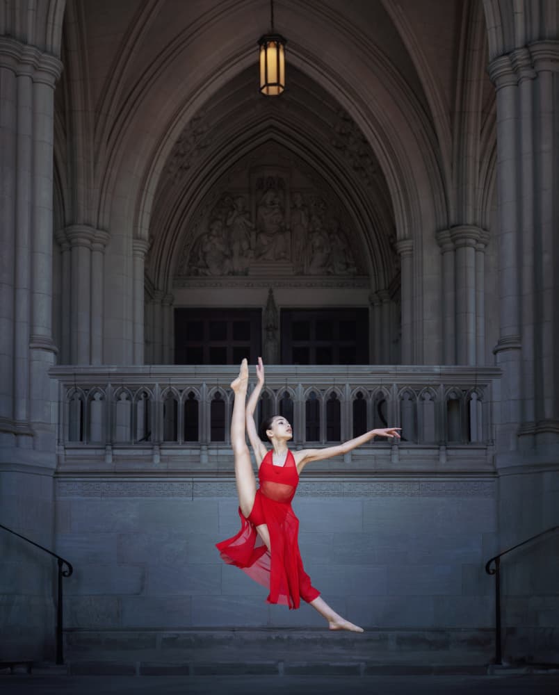 Elegant Red Leap by Catherine Wang — canvas wall art