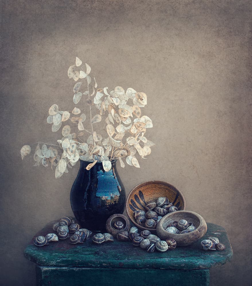 Rustic Snails Still Life by Dimitar Lazarov - Dim — canvas wall art