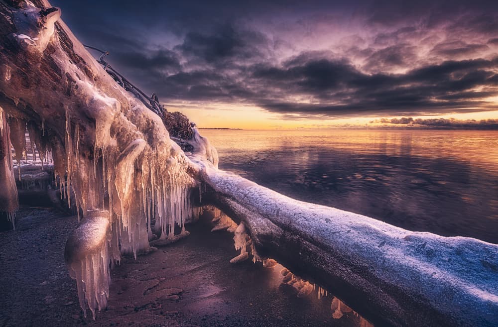 Icy Log Sunset by Ben.C.L — canvas wall art