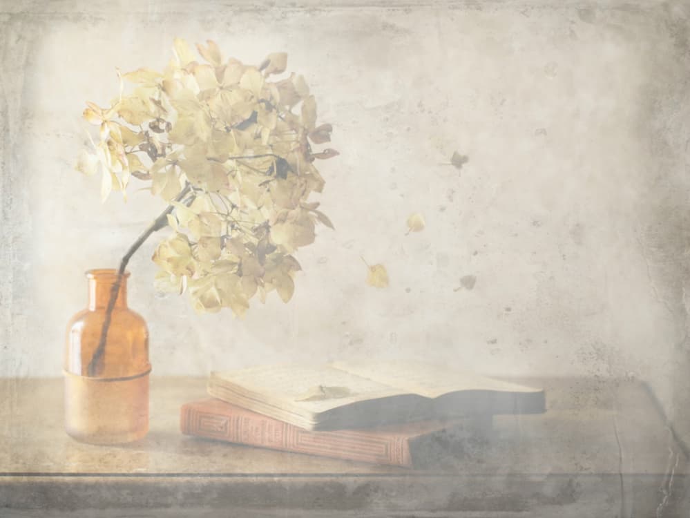 Faded Autumn Still Life by Delphine Devos — canvas wall art