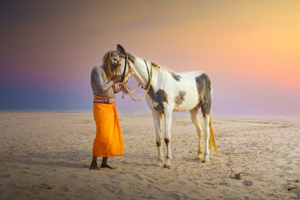 Sadhu and Horse Sunset by Rahul Wedpathak — canvas wall art