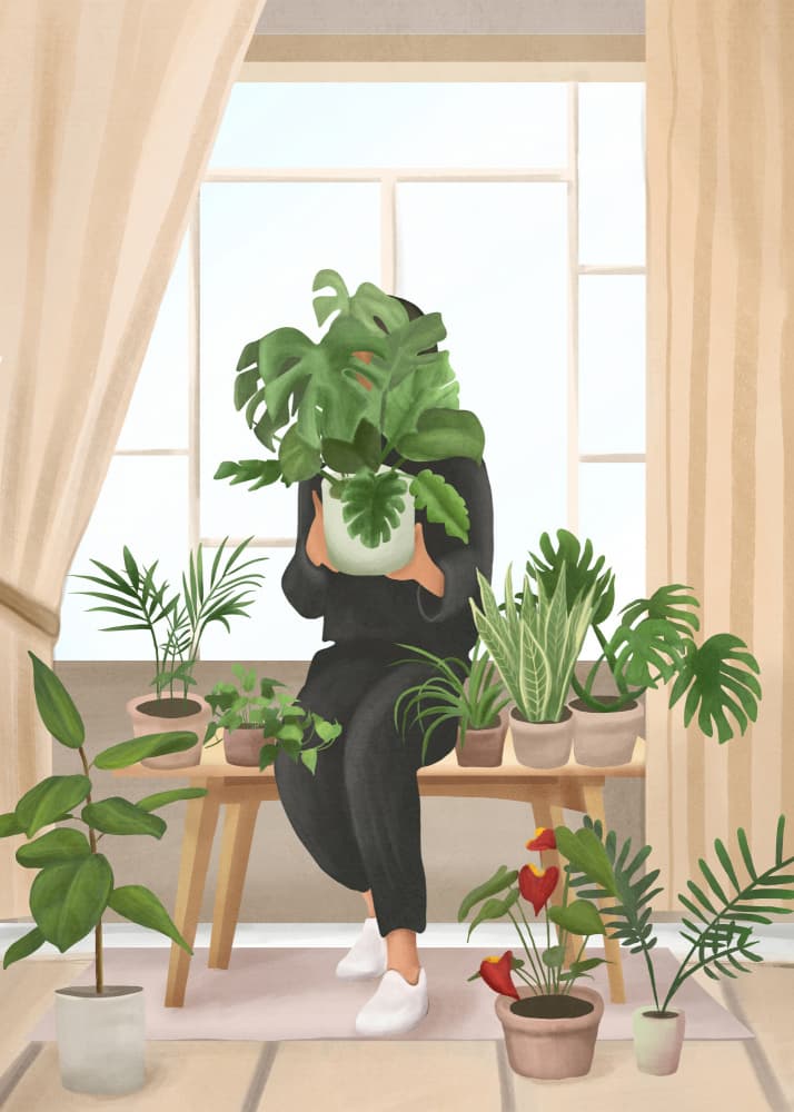 Indoor Plant Oasis