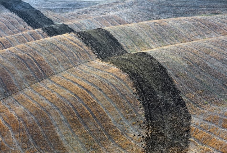 Cultivated Earth Patterns by Jure Kravanja — canvas wall art