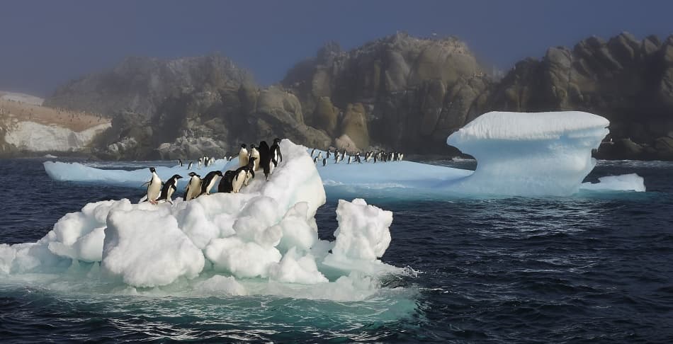 Antarctic Penguins on Ice by Sergey Kokinskiy — canvas wall art