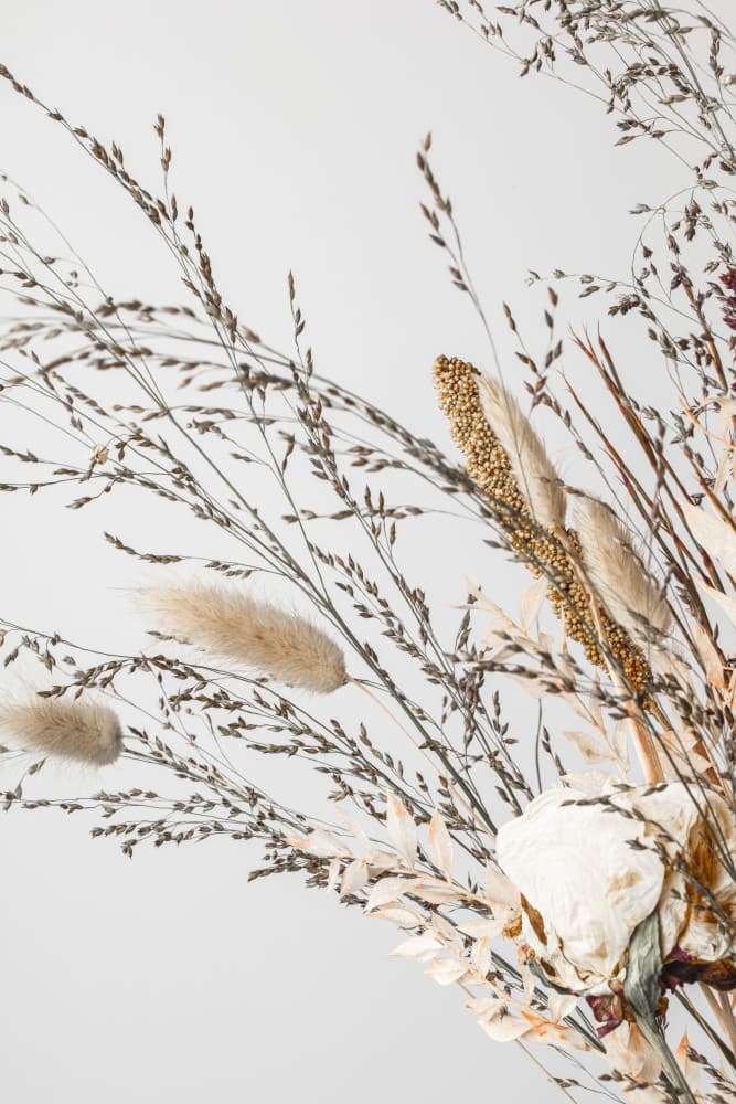 White Rose Dried Bouquet by Pictufy Studio III — canvas wall art