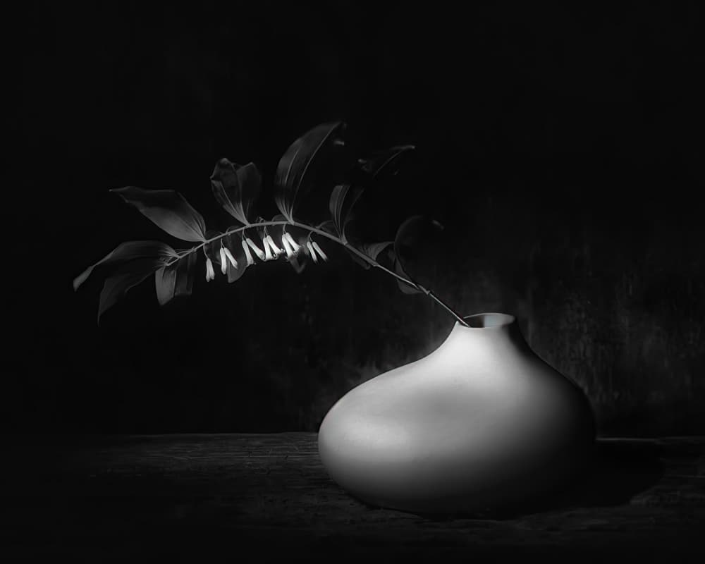 Dark Botanical Still Life by Saskia Dingemans — canvas wall art