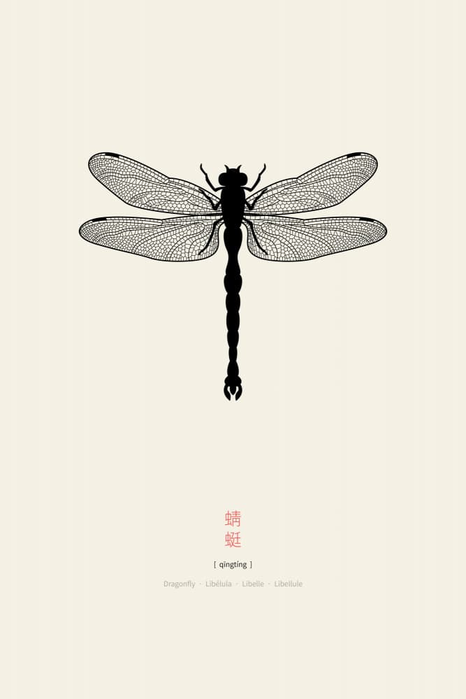 Elegant Dragonfly Study by Thoth Adan — canvas wall art