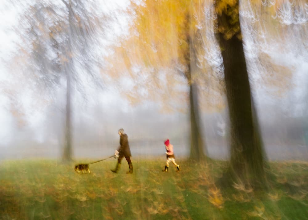 Dreamy Autumn Walk by Shenshen Dou — canvas wall art