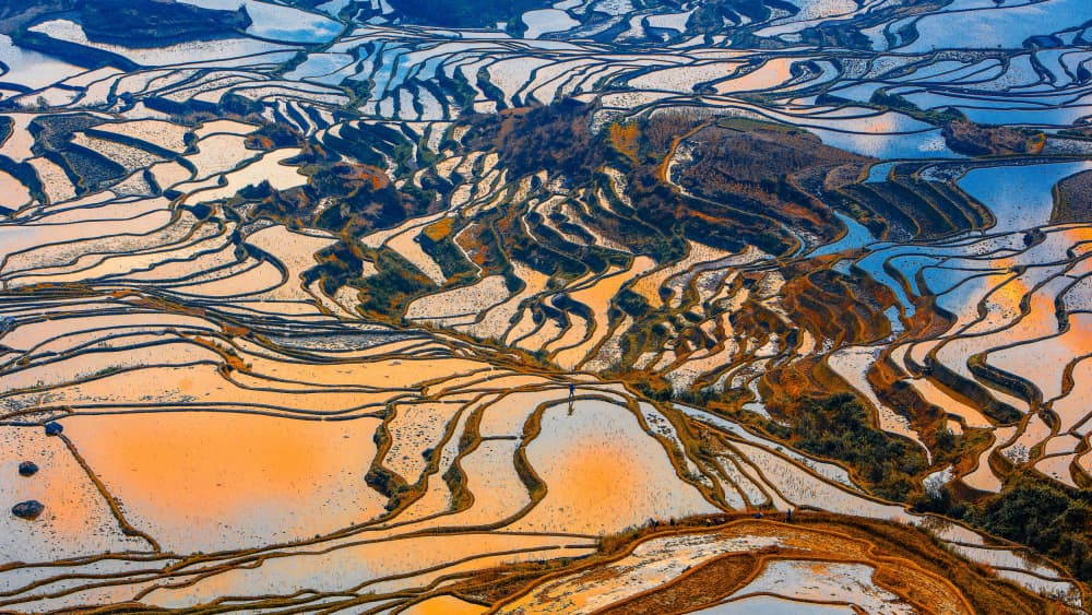 Colorful Rice Terraces Reflections by Shin Woo Ryu — canvas wall art