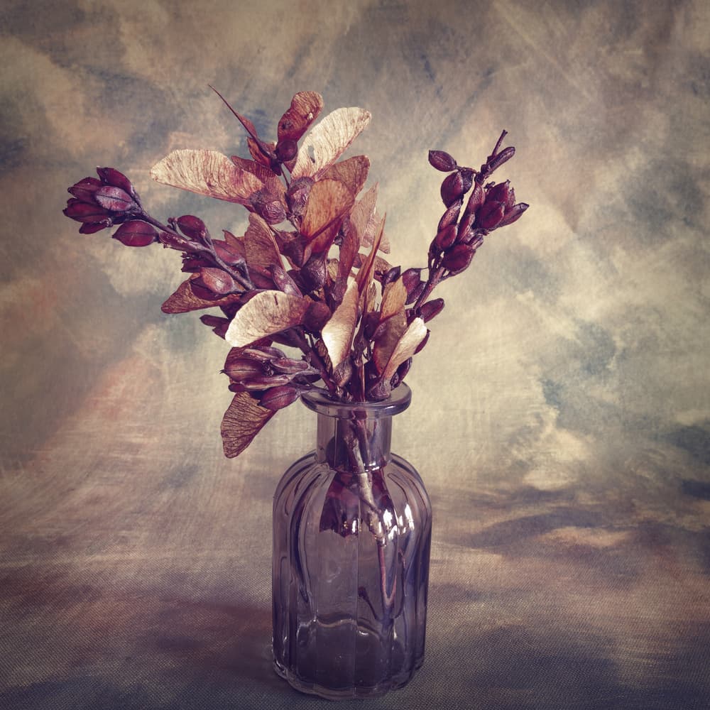 Rustic Dried Botanicals by Cicek Kiral — canvas wall art