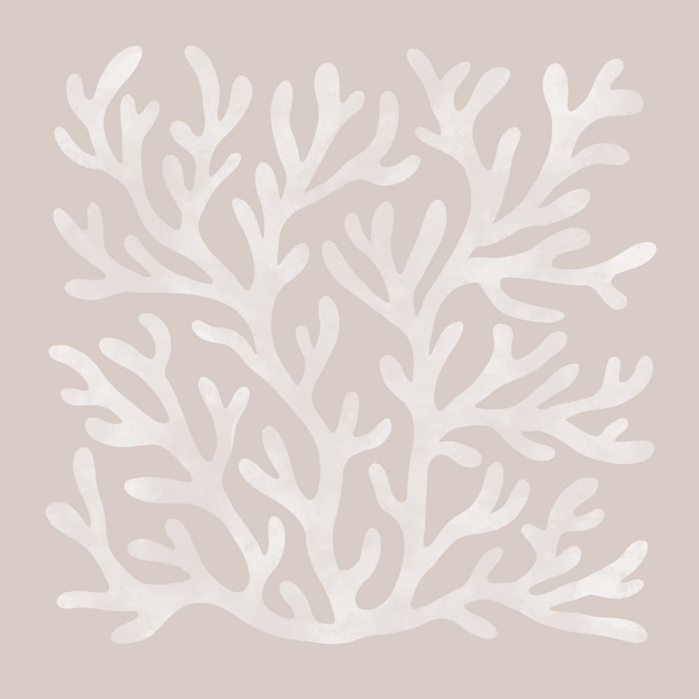 Soft Beige Coral by EMELIEmaria — canvas wall art