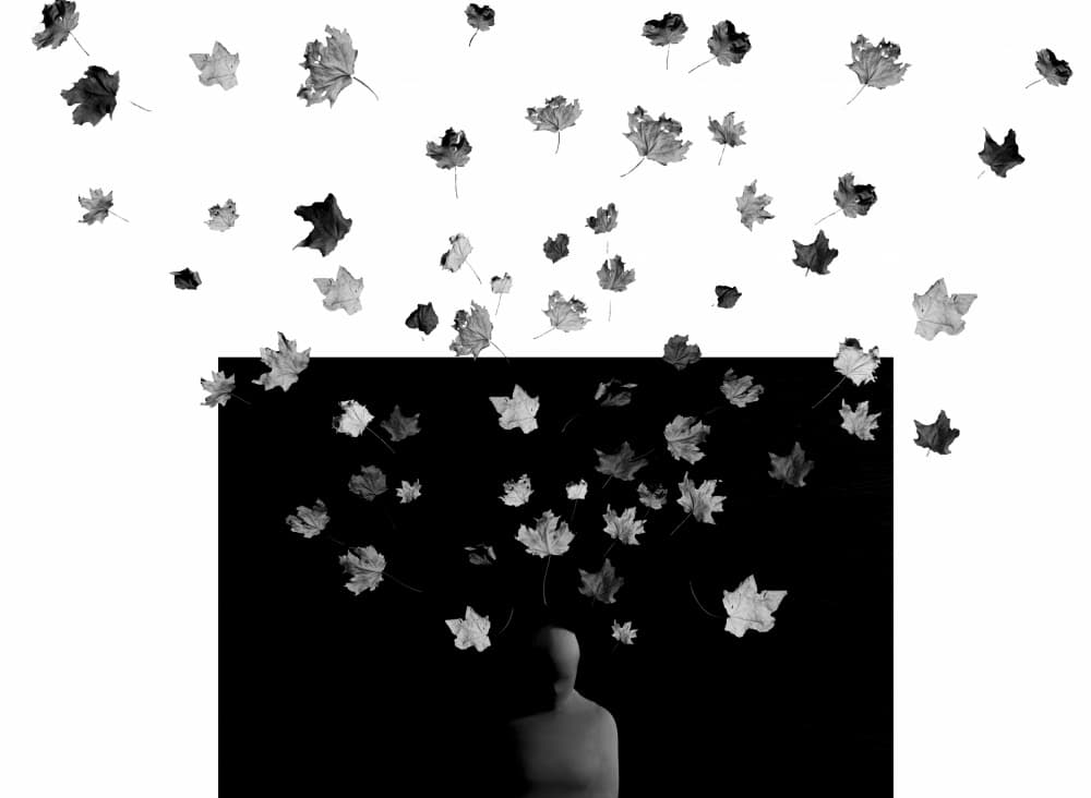 Falling Leaves Contemplation by Maryam Zahirimehr — canvas wall art