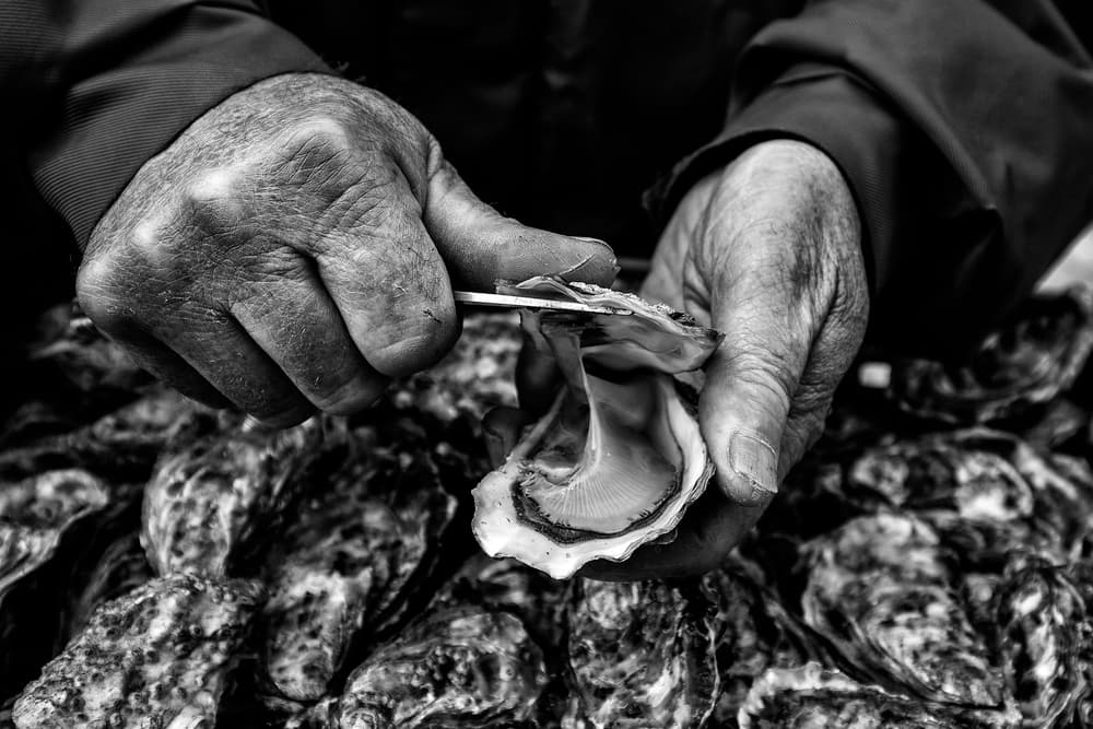 Hands Shucking Oysters by Manu Allicot — canvas wall art