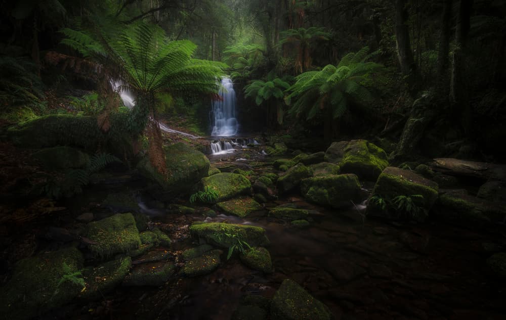 Misty Forest Waterfall by Richard Vandewalle — canvas wall art