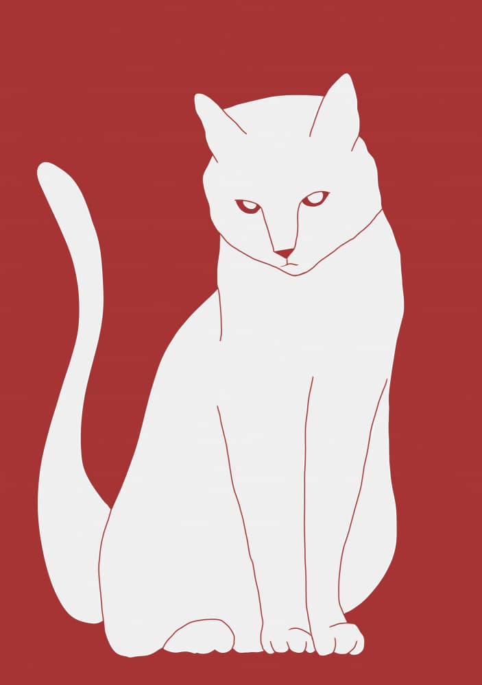 Elegant White Feline by Sharyn Bursic — canvas wall art