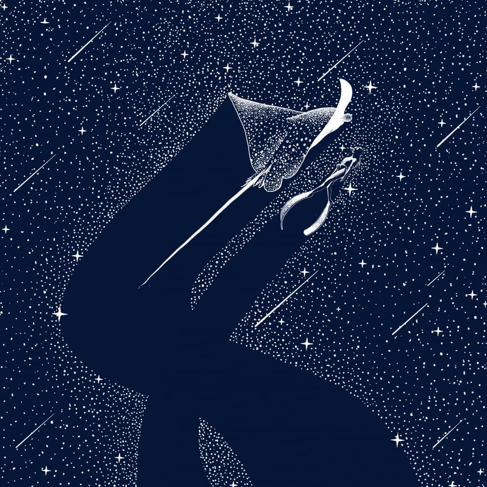 Cosmic Manta Dream by Alirıza ÇAKIR — canvas wall art