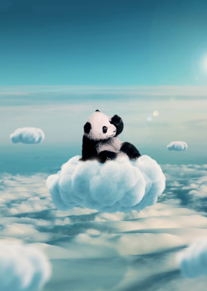 Baby Panda Cloud Dream by Ariz Rab — canvas wall art