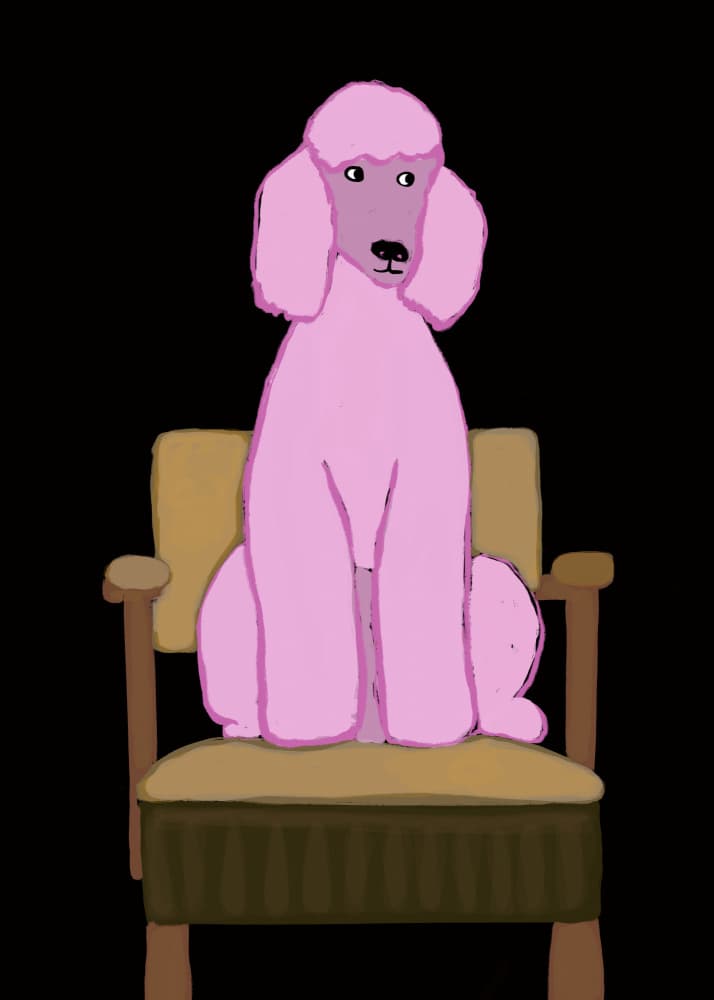 Pink Poodle On Chair by Sharyn Bursic — canvas wall art