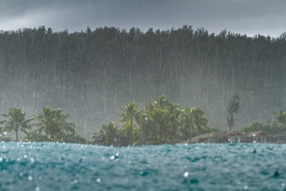 RAINSTORM by Anthony Fox — canvas wall art