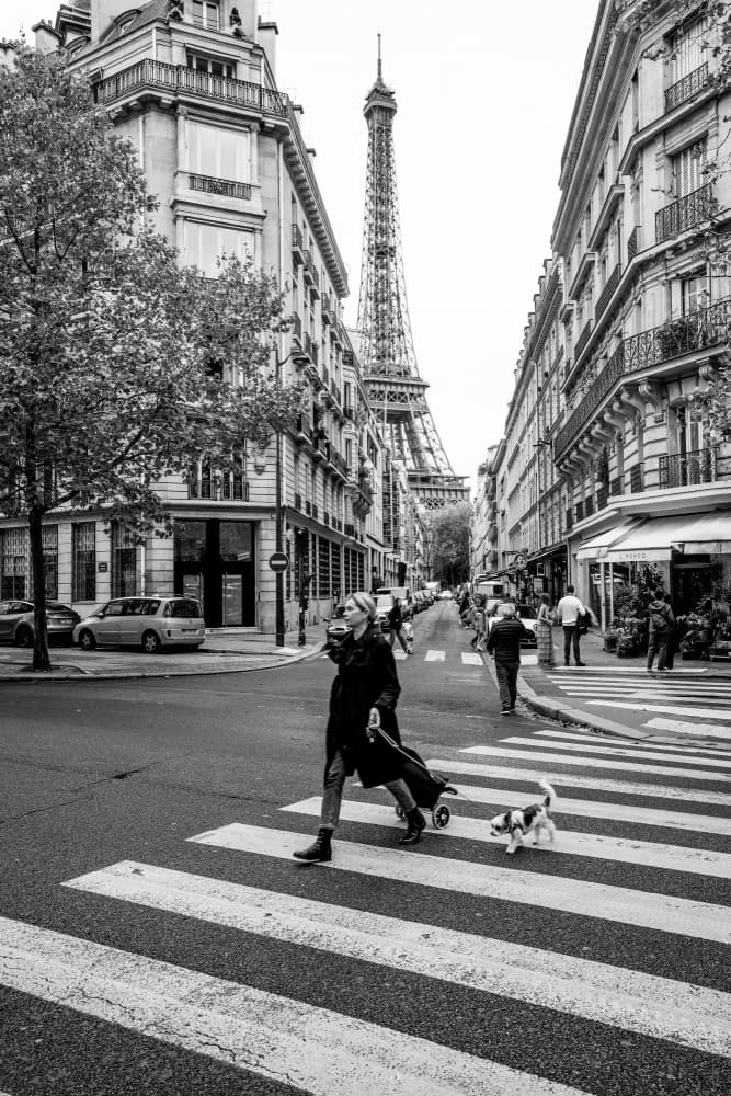 Parisian Street Dog Walk by anapaulaa88 — canvas wall art