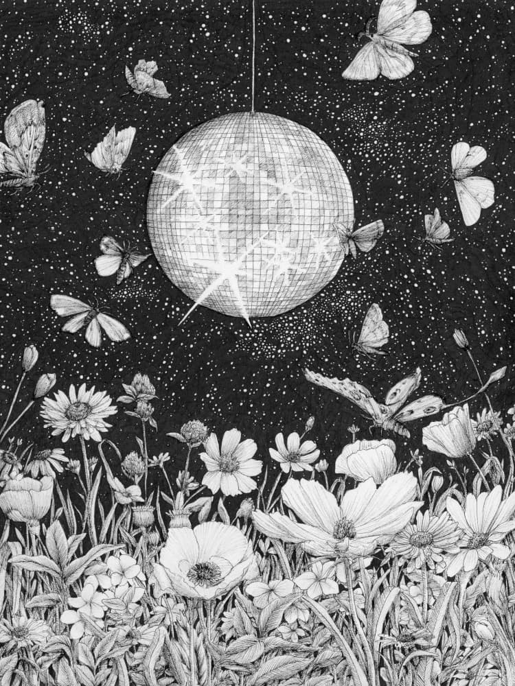 Starry Disco Garden