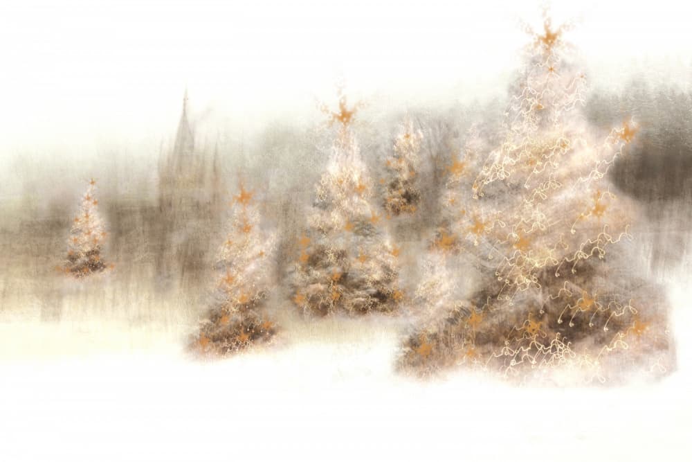 Magical Winter Trees by Christina Sillen — canvas wall art