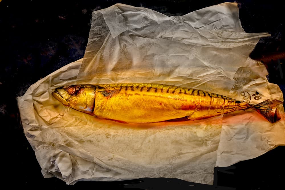 Golden Smoked Mackerel by Mariuca Brancoveanu — canvas wall art