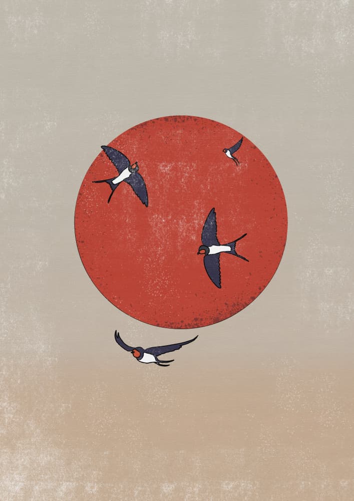 Swallows Over Red Sun by Nicholas — canvas wall art