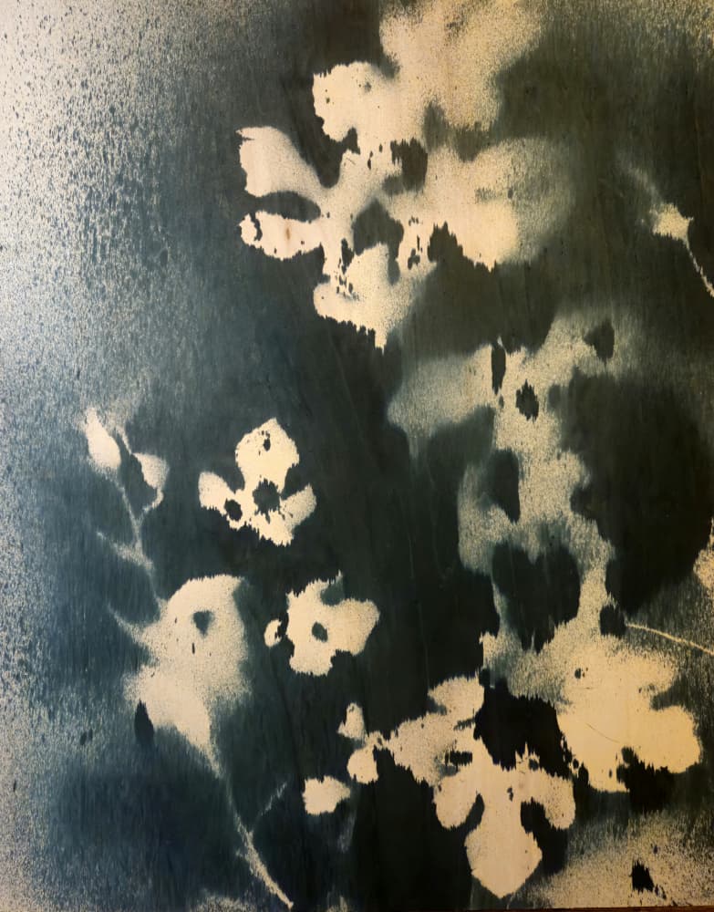 Dark Botanical Leaves by Stefano Mazzolini — canvas wall art