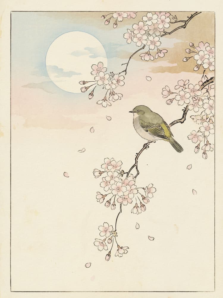 Spring Moon Bird Blossoms by Andreas Magnusson — canvas wall art