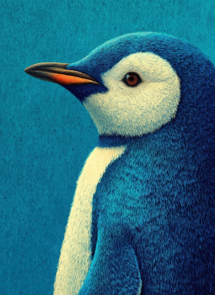 Adorable Blue Penguin by Justyna Jaszke — canvas wall art