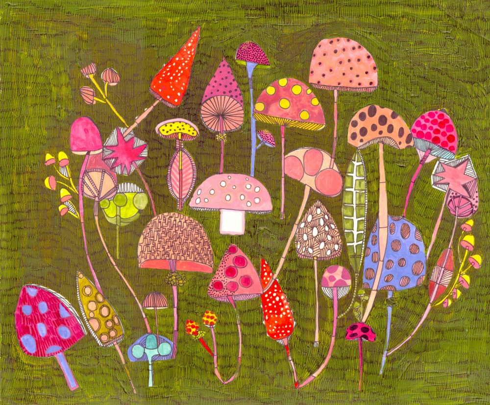 Toads Tools by Sharon Nullmeyer — canvas wall art