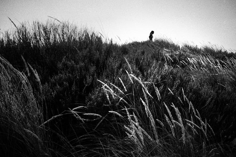 Dune Top Solitude by Paulo Abrantes — canvas wall art