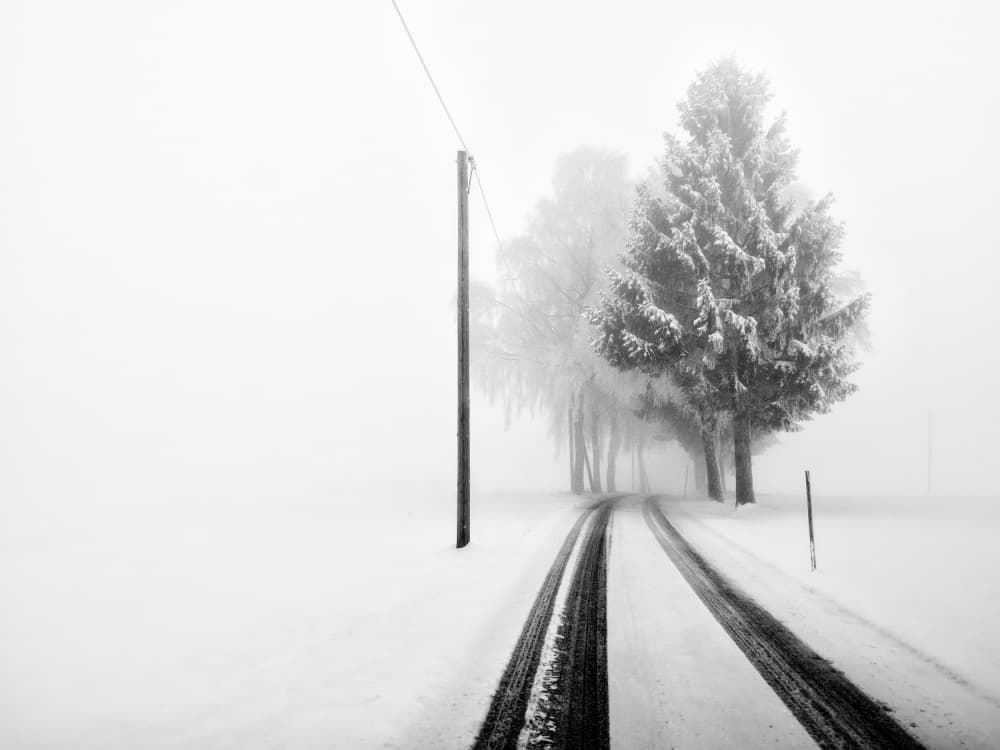Foggy Winter Road by Franz Bogner — canvas wall art